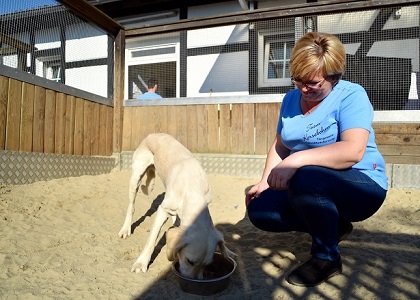 tierpension kersebohm hundehotel luenen dortmund bochum hundepension fttern