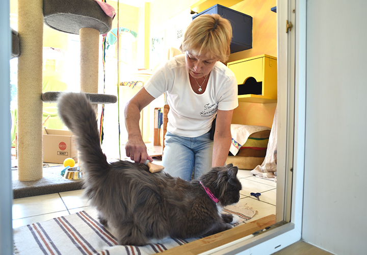 03 katzenhaus tierpension kersebohm luenen dortmund