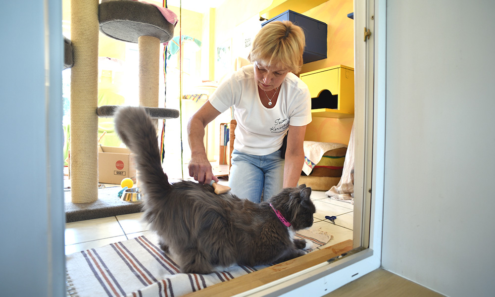 fellpflege hunde hundesalon katzensalon kersebohm luenen dortmund nrw 001