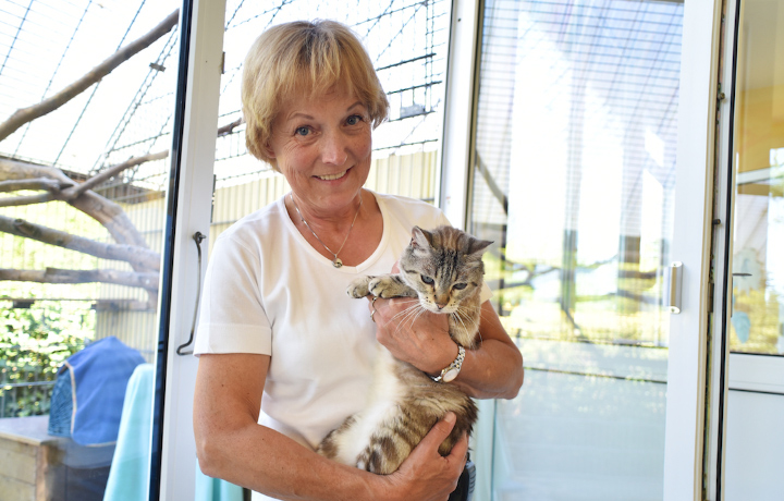 pension bettina kersebohm tierpension kersebohm luenen dortmund