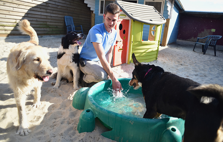 urlaub im hundehotel tierpension nrw