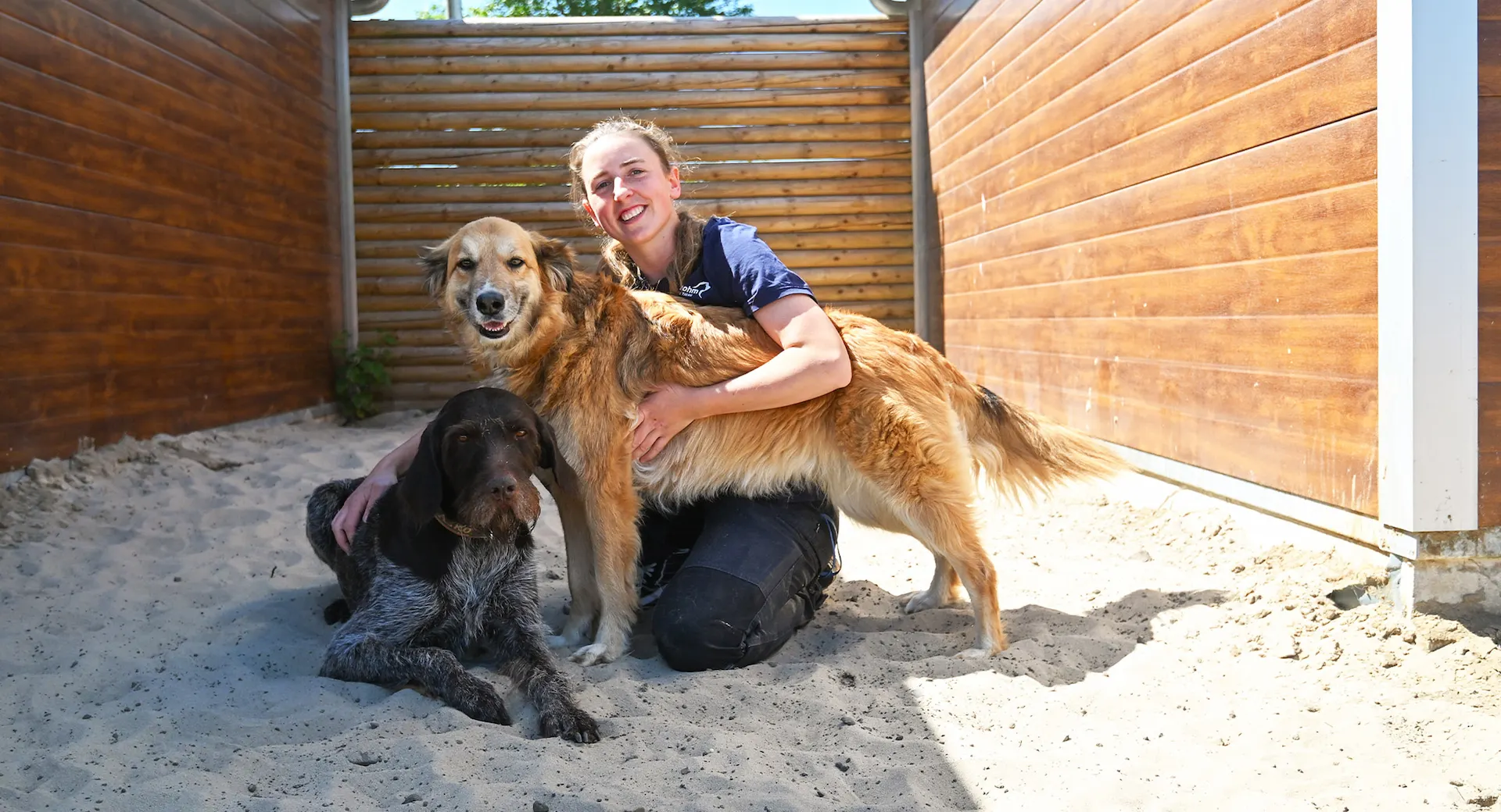Tierpflegerin streichelt zwei größere Hunde