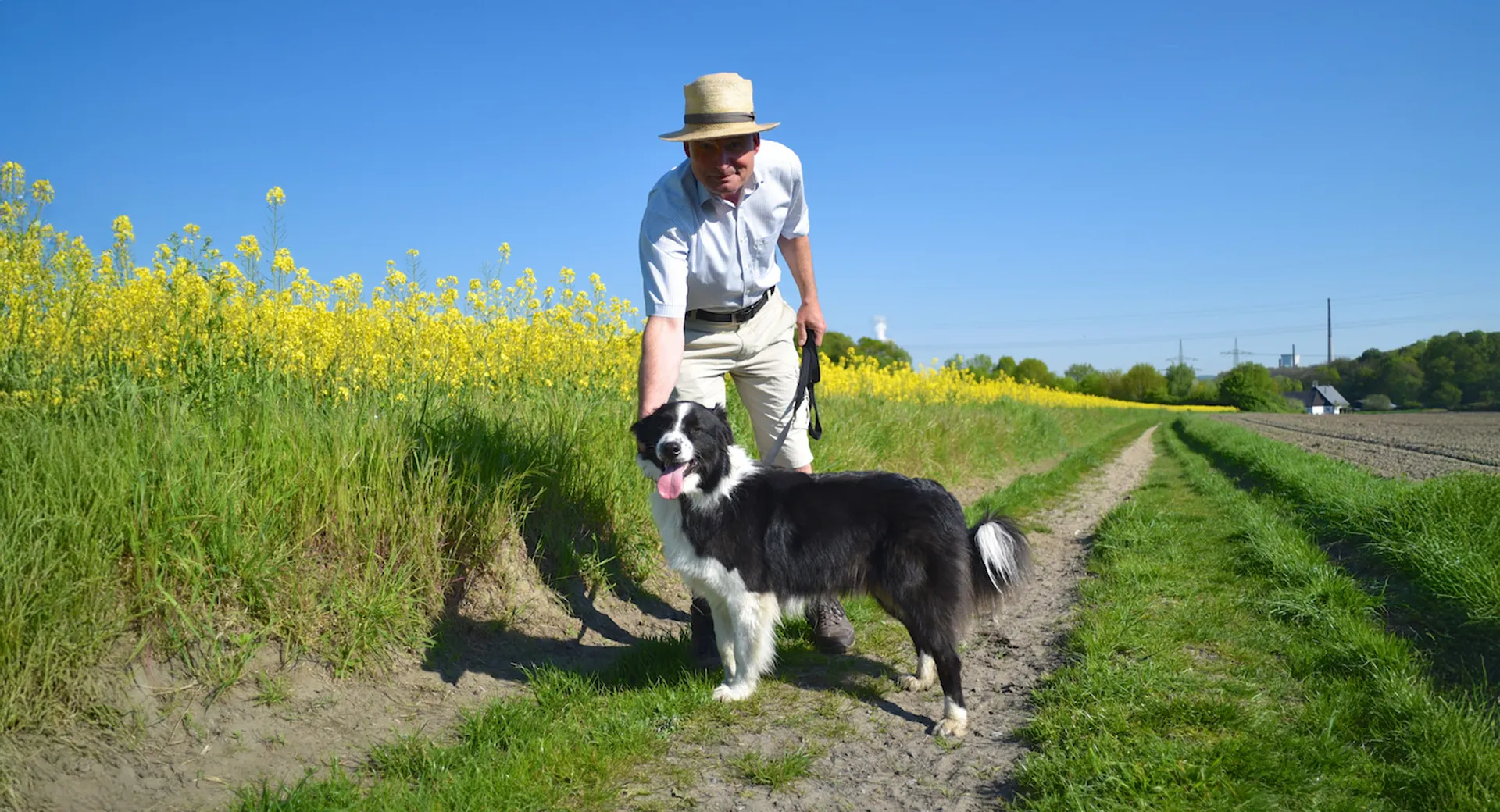 Mitarbeiter geht mit einem Hund spazieren