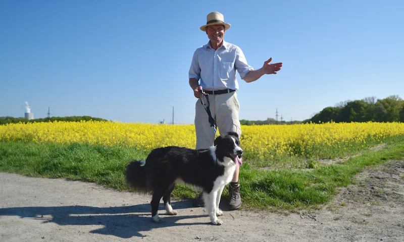 Mitarbeiter bei einem Spaziergang mit Hunden